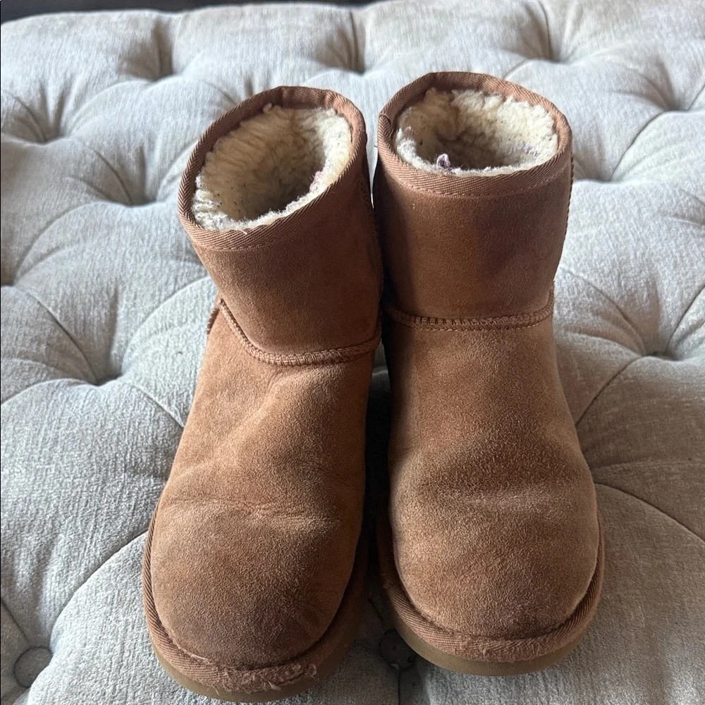 UGG Chestnut Suede Boots with‎ Plush Lining